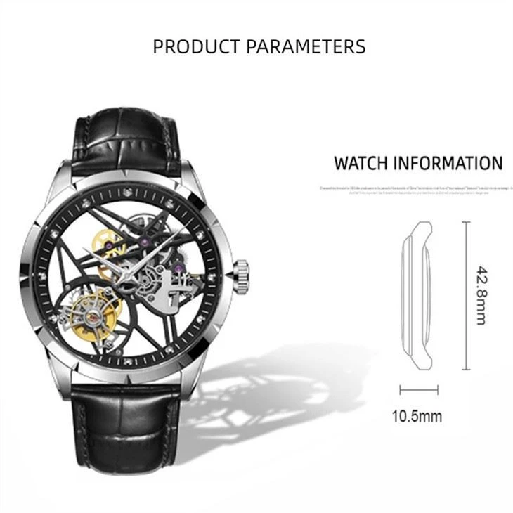 Luxury Sapphire Crystal Mechanical Wristwatch